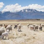 从古老传说到现代游戏:神话娱乐平台的演变与发展 19xs6x