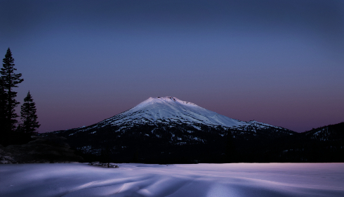 任你博:让每一个投资者都能轻松入门的指南 任你博:让每一个投资者都能轻松入门的指南