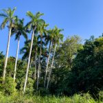 众鑫娱乐如何引领现代娱乐消费的新潮流 ddf7od