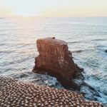 从商战到权谋:大嬴家的成功之道与智慧 ibswc