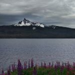 优德w88娱乐的优惠活动与会员福利详解 ikp0k5dc