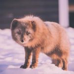 从影视到音乐,凤凰娱乐全方位解析当红明星 ll143kz7c3