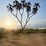 从零开始学习凯斯平台,掌握关键技能与实用技巧 ll5t4kv9