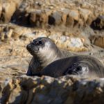 优万体育平台:打造全新体育体验的在线竞技场 lossco375