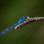 从星球娱乐看未来科技对休闲生活的影响 lt981rs