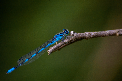 从星球娱乐看未来科技对休闲生活的影响 从星球娱乐看未来科技对休闲生活的影响