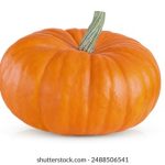 从历史到现代:柏青哥在日本娱乐产业中的演变 os7rh